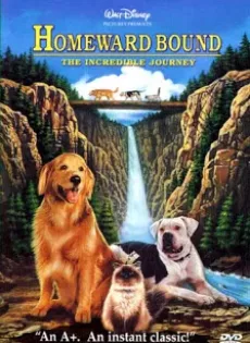 ดูหนัง Homeward Bound The Incredible Journey (1993) 2 หมา 1 แมว ใครจะพรากเราไม่ได้ ซับไทย เต็มเรื่อง | 9NUNGHD.COM