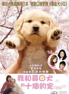 ดูหนัง 10 Promises to My Dog (2008) 10 ข้อสัญญาน้องหมาของฉัน ซับไทย เต็มเรื่อง | 9NUNGHD.COM