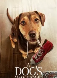 ดูหนัง A Dog’s Way Home (2019) เพื่อนรักผจญภัยสี่ร้อยไมล์ ซับไทย เต็มเรื่อง | 9NUNGHD.COM