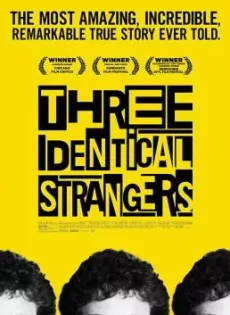 ดูหนัง Three Identical Strangers (2018) ซับไทย เต็มเรื่อง | 9NUNGHD.COM