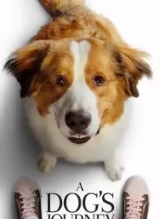 ดูหนัง A Dog’s Journey (2019) หมา เป้าหมาย และเด็กชายของผม 2 ซับไทย เต็มเรื่อง | 9NUNGHD.COM
