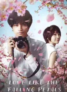 ดูหนัง Love Like The Falling Petals (2022) ใบไม้ผลิที่ไม่มีเธอเป็นซากุระ ซับไทย เต็มเรื่อง | 9NUNGHD.COM