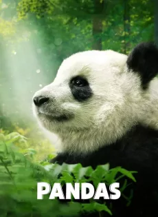 ดูหนัง Pandas (2018) สารคดีแพนด้า ซับไทย เต็มเรื่อง | 9NUNGHD.COM