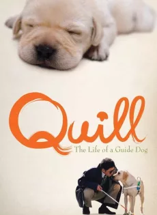 ดูหนัง Quill The Life of a Guide Dog (2004) โฮ่งฮับ เจ้าตัวเนี้ยซี้ร้อยเปอร์เซ็นต์ ซับไทย เต็มเรื่อง | 9NUNGHD.COM