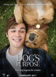ดูหนัง A Dog’s Purpose (2017) หมา เป้าหมาย และเด็กชายของผม [ซับไทย] ซับไทย เต็มเรื่อง | 9NUNGHD.COM