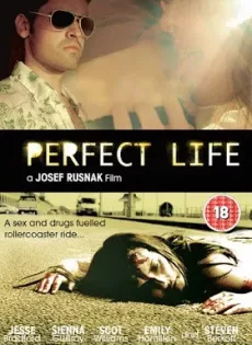ดูหนัง A Perfect Life (2010) พิศวาสสีเลือด ซับไทย เต็มเรื่อง | 9NUNGHD.COM