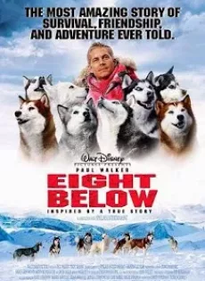 ดูหนัง Eight Below (2006) ปฏิบัติการ 8 พันธุ์อึดสุดขั้วโลก ซับไทย เต็มเรื่อง | 9NUNGHD.COM