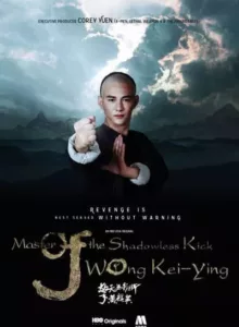 Master Of The Shadowless Kick Wong Kei Ying (2017) หวงฉีอิง บาทาไร้เงา