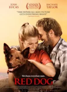 ดูหนัง Red Dog (2011) เพื่อนซี้หัวใจหยุดโลก ซับไทย เต็มเรื่อง | 9NUNGHD.COM