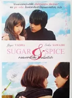 ดูหนัง Sugar & Spice (2006) กอดแรกยังซึ้งรักหนึ่งยังจำ ซับไทย เต็มเรื่อง | 9NUNGHD.COM