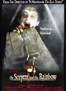 ดูหนัง The Serpent and the Rainbow (1988) อาถรรพ์ ผงกระตุกวิญญาณ ซับไทย เต็มเรื่อง | 9NUNGHD.COM