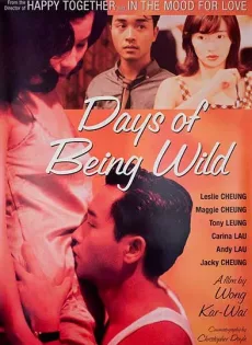 ดูหนัง Days of Being Wild (1991) วันที่หัวใจรักกล้าตัดขอบฟ้า ซับไทย เต็มเรื่อง | 9NUNGHD.COM