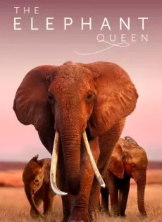 ดูหนัง The Elephant Queen (2019) อัศจรรย์ราชินีแห่งช้าง ซับไทย เต็มเรื่อง | 9NUNGHD.COM