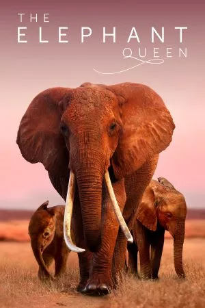 The Elephant Queen (2019) อัศจรรย์ราชินีแห่งช้าง