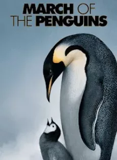 ดูหนัง March of the Penguins (2005) เพนกวิน หัวใจจักรพรรดิ ซับไทย เต็มเรื่อง | 9NUNGHD.COM