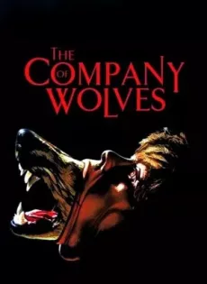ดูหนัง The Company of Wolves (1984) เขย่าขวัญสาวน้อยหมวกแดง ซับไทย เต็มเรื่อง | 9NUNGHD.COM