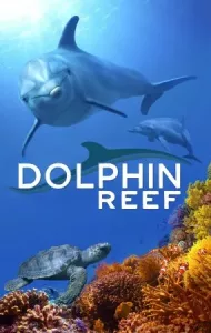 Dolphin Reef (2020) Disney+ อัศจรรย์ชีวิตของโลมา