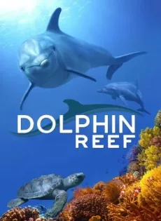 ดูหนัง Dolphin Reef (2020) Disney+ อัศจรรย์ชีวิตของโลมา ซับไทย เต็มเรื่อง | 9NUNGHD.COM