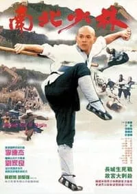 The Shaolin Temple Martial Art of Shaolin (1986) เสี้ยวลิ้มยี่ ภาค 3 มังกรน่ำปั๊ก