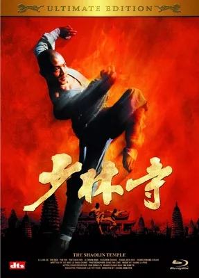 The Shaolin Temple (1982) เสี้ยวลิ้มยี่ ภาค 1