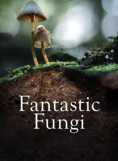ดูหนัง Fantastic Fungi (2019) เห็ดมหัศจรรย์ ซับไทย เต็มเรื่อง | 9NUNGHD.COM