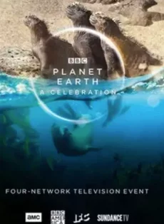 ดูหนัง Planet Earth A Celebration (2020) ซับไทย เต็มเรื่อง | 9NUNGHD.COM