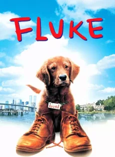 ดูหนัง Fluke (1995) เกิดใหม่กลายเป็นหมา ซับไทย เต็มเรื่อง | 9NUNGHD.COM