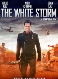 ดูหนัง The White Storm (2013) โคตรคนโค่นคนอันตราย ซับไทย เต็มเรื่อง | 9NUNGHD.COM