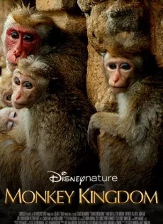 ดูหนัง Disneynature Monkey Kingdom (2015) อาณาจักรลิง จากป่าไม้สู่ป่าเมือง (ซับไทย) ซับไทย เต็มเรื่อง | 9NUNGHD.COM