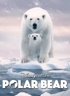ดูหนัง Polar Bear (2022) พากย์ไทย ซับไทย เต็มเรื่อง | 9NUNGHD.COM