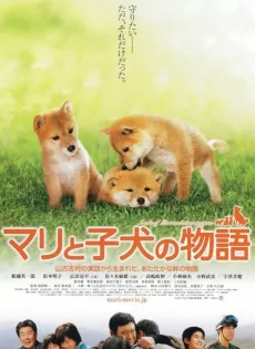 ดูหนัง A Tale of Mari and Three Puppies (2007) เพื่อนซื่อ… ชื่อ มาริ ซับไทย เต็มเรื่อง | 9NUNGHD.COM