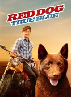 ดูหนัง Red Dog: True Blue (2016) เพื่อนซี้หัวใจหยุดโลก 2 ซับไทย เต็มเรื่อง | 9NUNGHD.COM