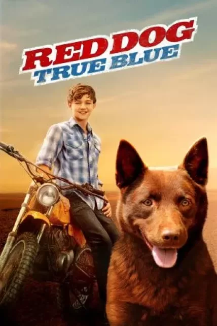 Red Dog: True Blue (2016) เพื่อนซี้หัวใจหยุดโลก 2