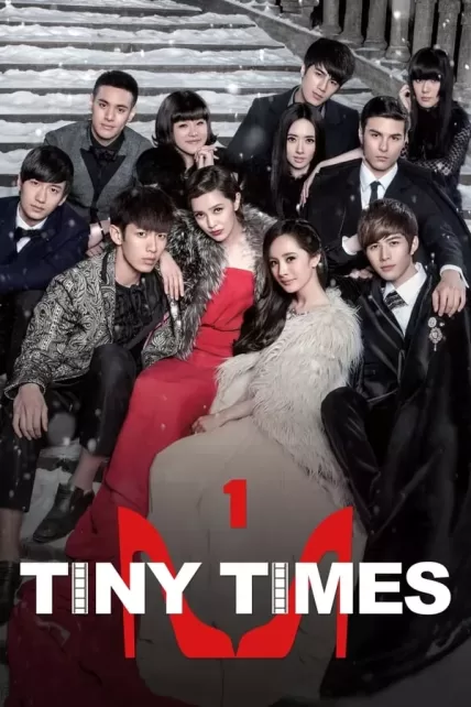 Tiny Times 1.0 (2013)