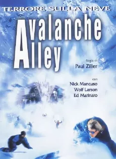 ดูหนัง Avalanche Alley (2001) มหันตภัยสุดขอบโลก ซับไทย เต็มเรื่อง | 9NUNGHD.COM