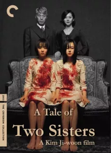 ดูหนัง A Tale of Two Sisters (2003) ตู้ซ่อนผี ซับไทย เต็มเรื่อง | 9NUNGHD.COM
