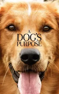 A Dog’s Purpose หมา (2017) เป้าหมาย และเด็กชายของผม