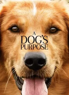 ดูหนัง A Dog’s Purpose หมา (2017) เป้าหมาย และเด็กชายของผม ซับไทย เต็มเรื่อง | 9NUNGHD.COM