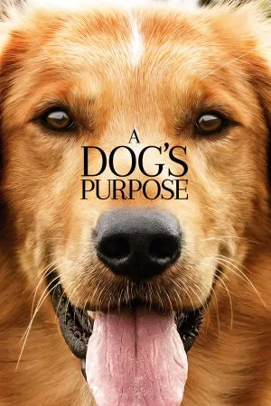 A Dog’s Purpose หมา (2017) เป้าหมาย และเด็กชายของผม