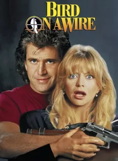 ดูหนัง Bird on a Wire (1990) ดับอำมหิต ซับไทย เต็มเรื่อง | 9NUNGHD.COM