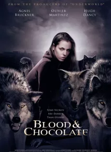 ดูหนัง Blood and Chocolate (2007) เจ้าสาวพันธุ์อสูร ซับไทย เต็มเรื่อง | 9NUNGHD.COM