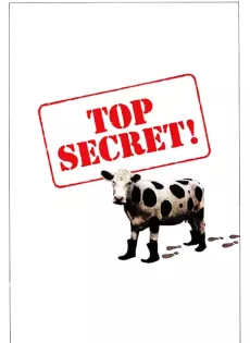 ดูหนัง Top Secret (1984) ลับสุดบ๊องส์ ซับไทย เต็มเรื่อง | 9NUNGHD.COM