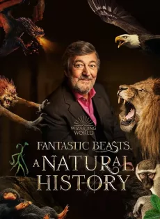 ดูหนัง Fantastic Beasts A Natural History (2022) บรรยายไทย ซับไทย เต็มเรื่อง | 9NUNGHD.COM