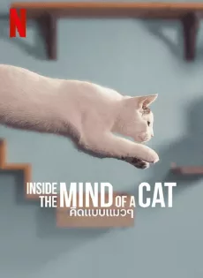 ดูหนัง Inside the Mind of a Cat (2022) คิดแบบแมวๆ ซับไทย เต็มเรื่อง | 9NUNGHD.COM