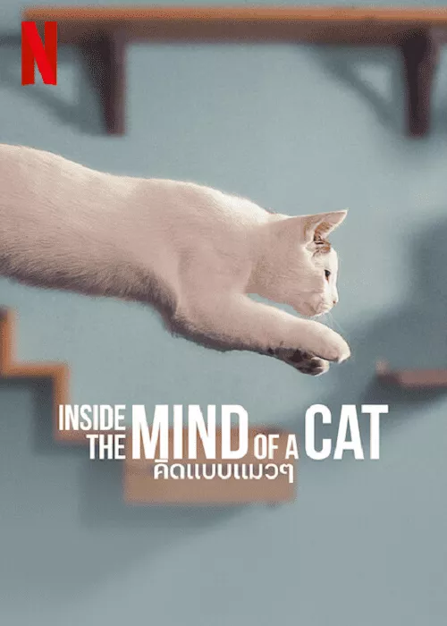ดูหนัง Inside the Mind of a Cat (2022) คิดแบบแมวๆ ซับไทย เต็มเรื่อง | 9NUNGHD.COM