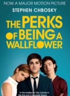 ดูหนัง The Perks of Being a Wallflower (2012) วัยป่วนหัวใจปึ้ก ซับไทย เต็มเรื่อง | 9NUNGHD.COM