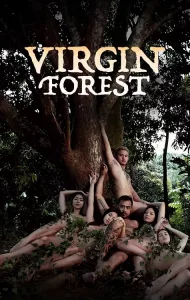 Virgin forest (2022)