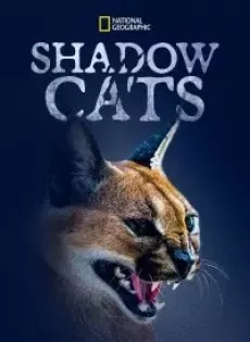 ดูหนัง Shadow Cats (2022) ซับไทย เต็มเรื่อง | 9NUNGHD.COM