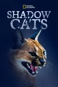 Shadow Cats (2022)