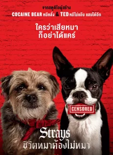 ดูหนัง Strays (2023) ชีวิตหมาต้องไม่หมา ซับไทย เต็มเรื่อง | 9NUNGHD.COM